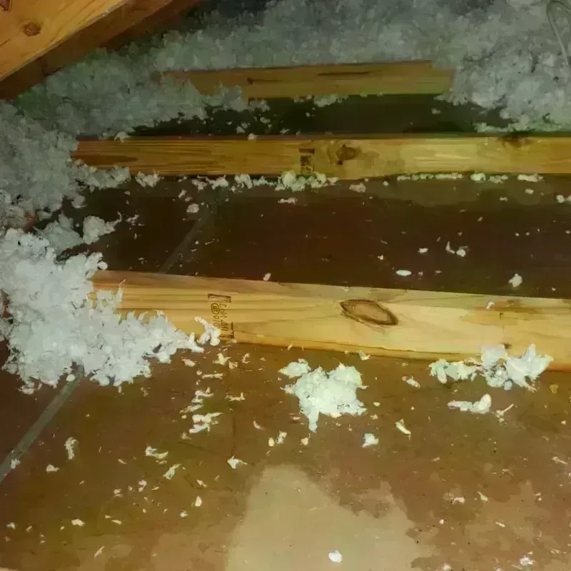 Attic Water Damage in Mapleton, MN